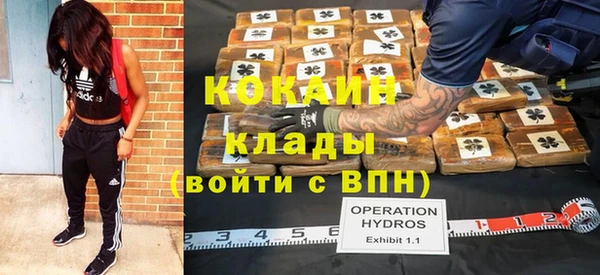 эйфоретик Осинники