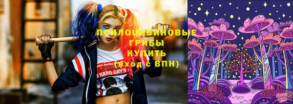 прущие крисы Осташков