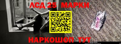 крисы Гай
