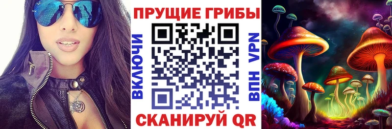 наркошоп Корсаков Галлюциногенные грибы GOLDEN TEACHER