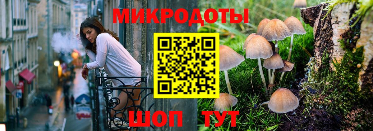 Псилоцибиновые грибы Psilocybe  Корсаков 