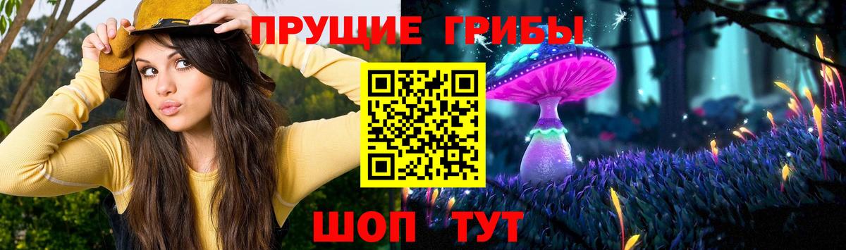 Галлюциногенные грибы GOLDEN TEACHER  Вход с VPN  как найти закладки  Корсаков 